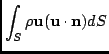 $\displaystyle \int_{S} \rho \mathbf{u} (\mathbf{u}\cdot\mathbf{n})dS $